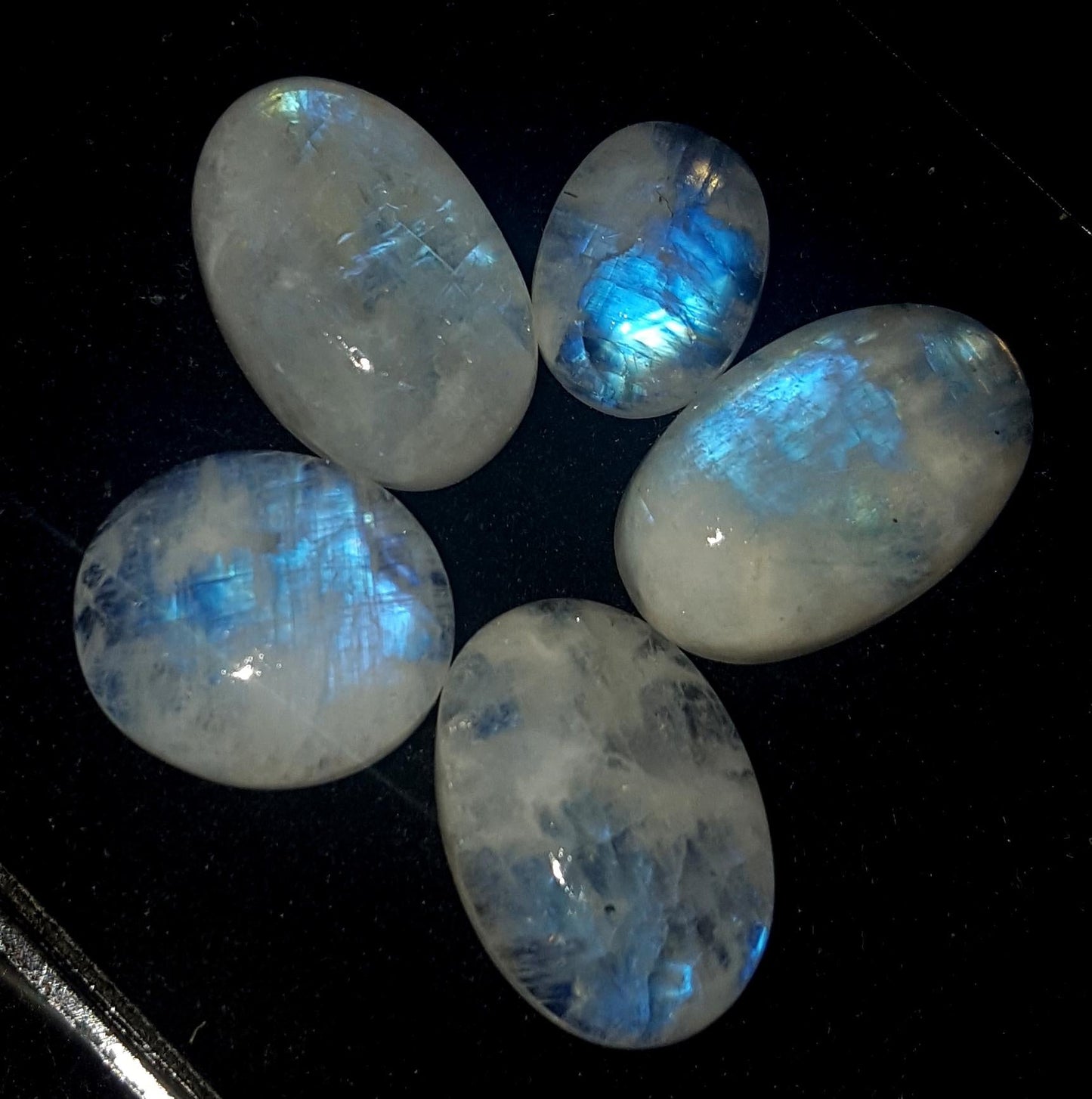 Moonstone, Natural Rainbow Moonstone, Oval Blue Flashy Gemstone Lot, 36.00 Carat, Size-14x13x4.4mm To 17x11x6mm Gift For Her, Pc-5