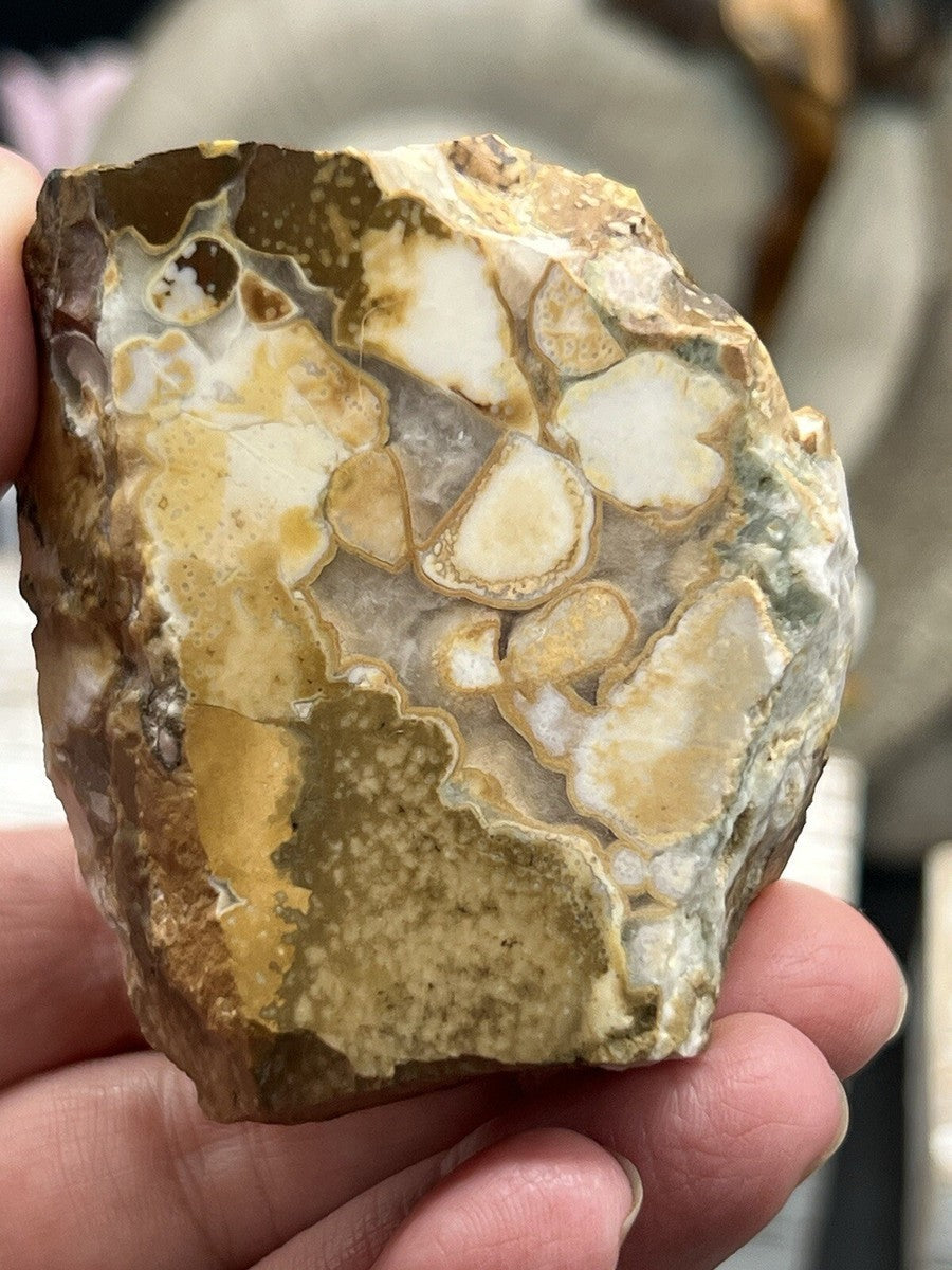 🐍 Cobra Jasper Raw – Healing Power, Strength & Balance Crystal